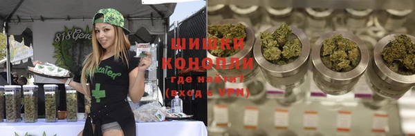 apvp Михайлов