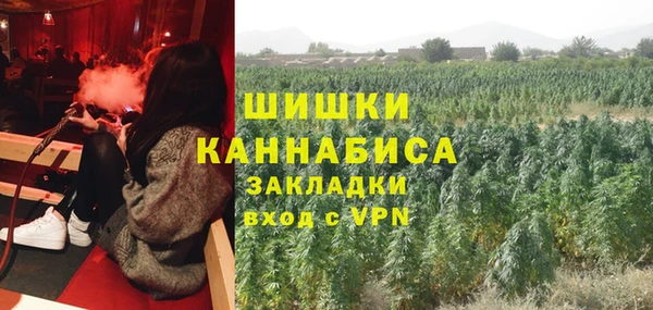 ПСИЛОЦИБИНОВЫЕ ГРИБЫ Михайловск