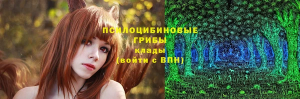ПСИЛОЦИБИНОВЫЕ ГРИБЫ Михайловск