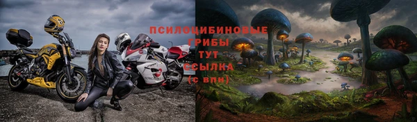 apvp Михайлов