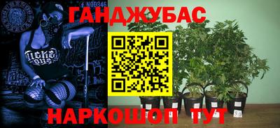 ECSTASY Заводоуковск