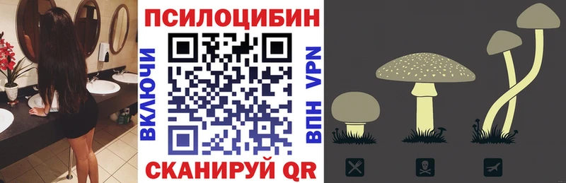 закладки  Новочебоксарск  Псилоцибиновые грибы Cubensis 