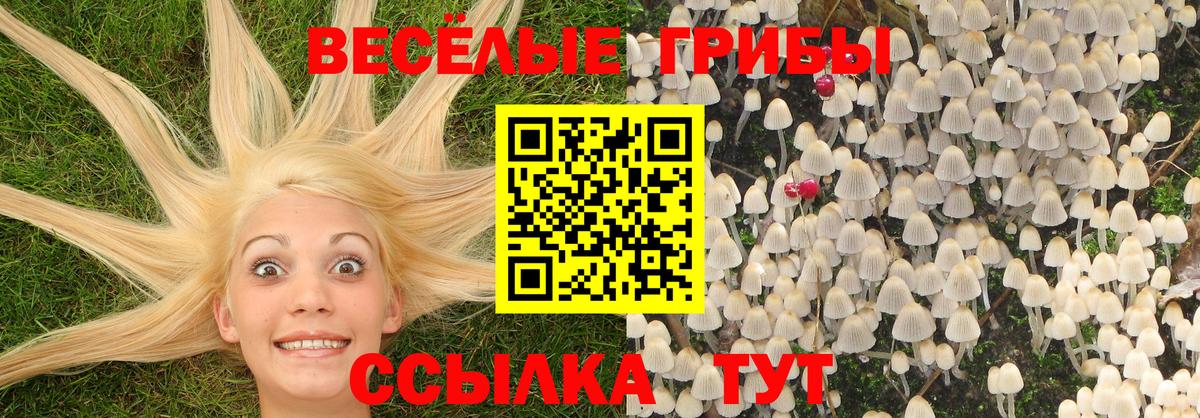 Бутират Новочебоксарск