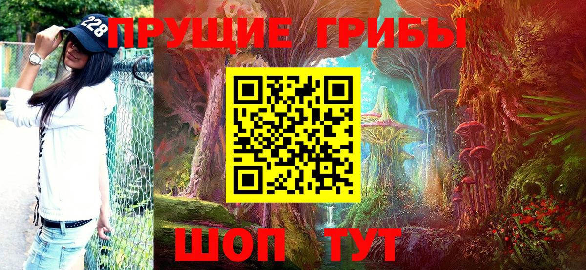 Новочебоксарск  Псилоцибиновые грибы Psilocybine cubensis  Галлюциногенные грибы GOLDEN TEACHER  где купить наркоту  Вход с VPN 